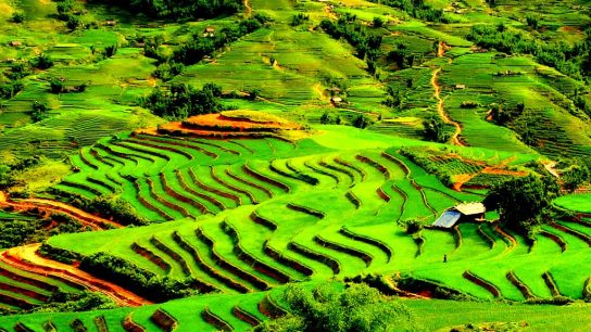 Sapa trekking 2 days – Home-stay