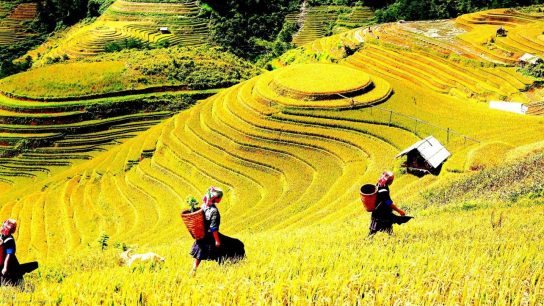 Sapa Trekking 3 days, Home-stay & Hotel