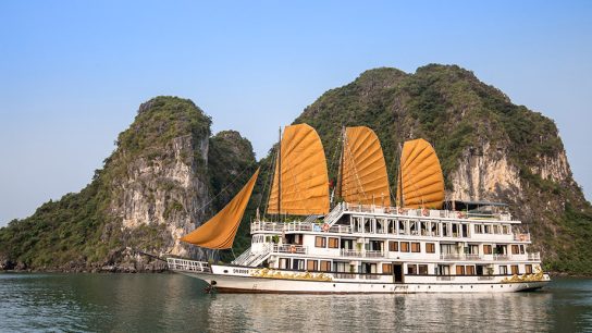 Ancora cruise