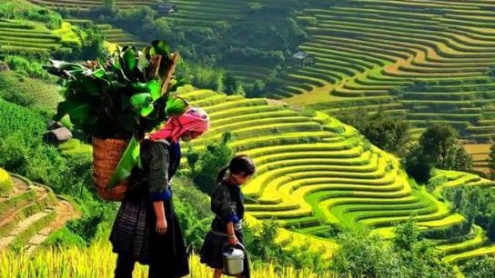 HaGiang transfer