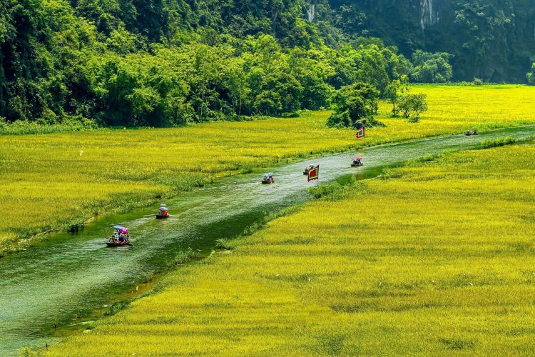 Ninh Binh Boat Ride: A Guide to Vietnam’s Hidden Gem golden season 5185310 1280