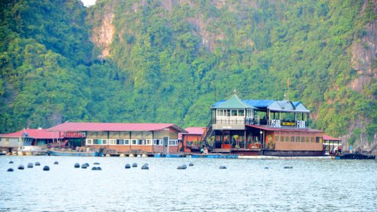 Pearl Farm in Halong Bay: One Of The Most Attractive Spot In Quang Ninh 3 Pearl Farm in Halong Bay: One Of The Most Attractive Spot In Quang Ninh image 31