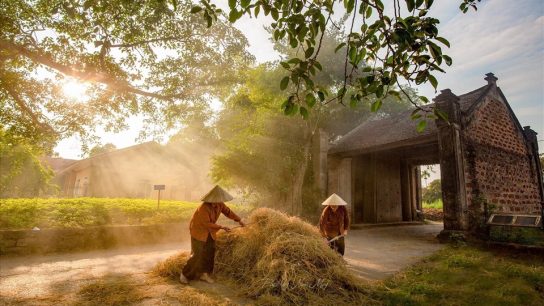 Duong Lam Ancient Village: A Timeless Journey into Vietnam’s Past
